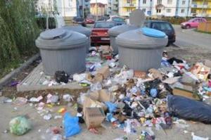 Cum scapati de sobolanii din subsolul blocului ? oferim servicii curatenie subsol blocuri - imagine 4