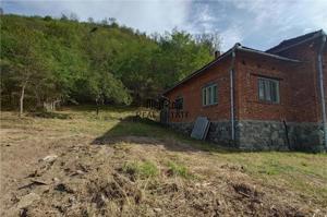 Un hectar de teren si casa langa padure. Proprietate deosebita in Dumbrava de Jos, Comuna Ribita - imagine 4