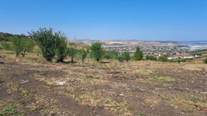 Teren intravilan, 2027 mp, zona Fantanele, Dezmir - imagine 4