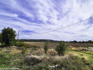 Casa Leordeni Arges - imagine 16