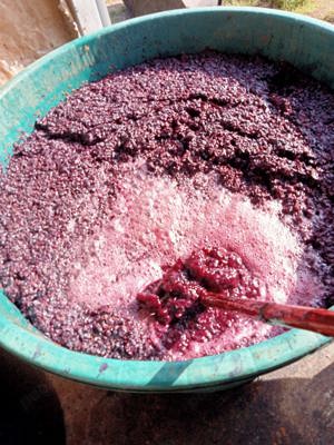 Must și struguri roșii moldova gata culesi 3lei - imagine 2