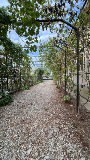 Casa de vanzare în apropiere de Craiova  - imagine 8