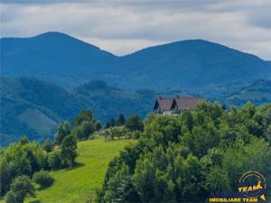 10.335 mp + imobil, splendoare si regasire in mijlocul naturii, Poiana Marului - imagine 11