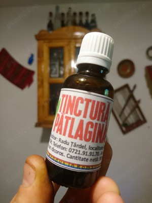 Tinctura de Patlagina - 100% NATURALA - imagine 5