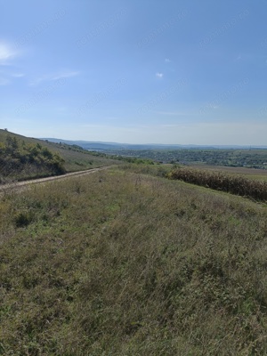 Schimb teren Valea Lungă,la 5km de Tătărași  - imagine 3