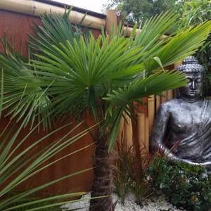 Plante ornamentale, Fitofarmacie, Sisteme de irigare automatizate, magazin Agricol - imagine 7