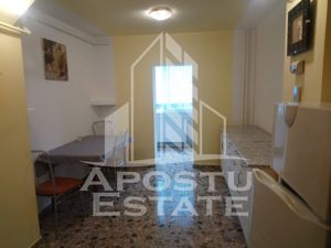 Apartament 2 camere, centrala proprie, Lipovei - imagine 12