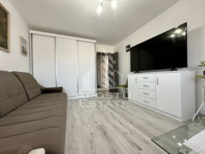 Apartament cu 2 camere, recomandat, recent renovat, zona Dambovita - imagine 6