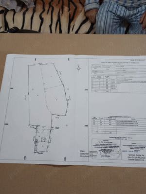 casa cu 2 ha teren Lapusata