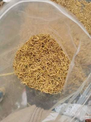 Calitatea I Virginia 