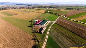 FILM! 18.000 mp,extravilan,agricol+constructii, recomandat:ferma,investitii agricole,Rotbav,Brasov - imagine 7