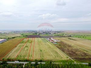 Teren 10,000mp Sanandrei / Strada Principala - imagine 3