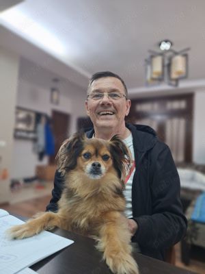 Meditatii la matematica cls.lV-Vlll, sector 1