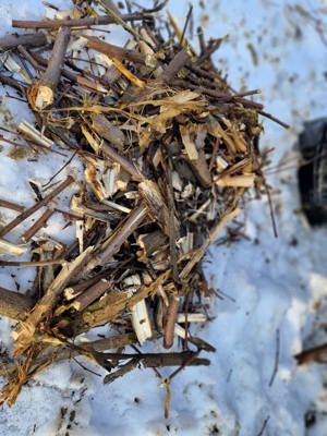 Gater & Tocator crengi - imagine 3 Gater & Tocator crengi - imagine 3