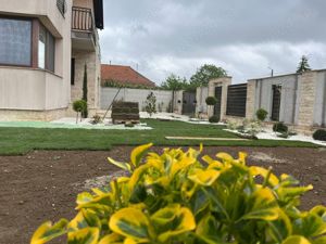 25 ani experienta  - imagine 6