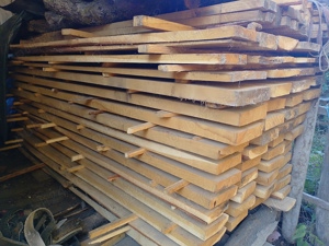 Vand cherestea  gorun - imagine 3