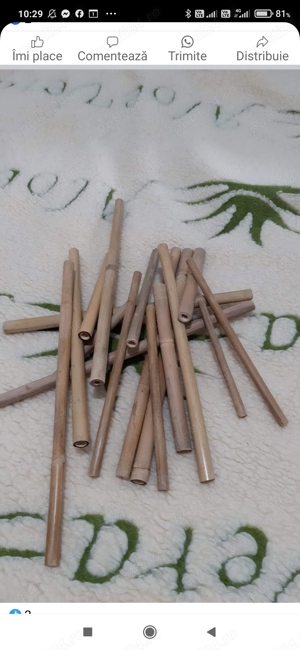 Bete  de bambus 25 lei respectiv 20  lei bucata Timisoara  - imagine 3
