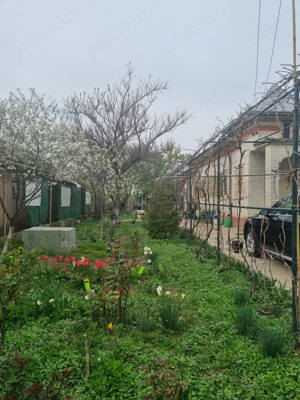 Casa individuala si teren langa Calul Balan-Buftea - imagine 2