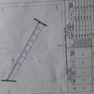 Vând Schimb Teren zona balta Mimi Bălata lângă Mureș 7 km Deva 2150 EURO 820mp