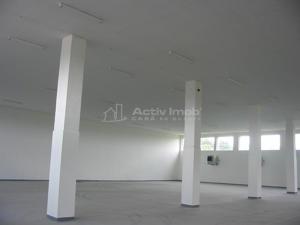 Ansamblu Industrial - Hale - 3027 mp - Teren 12822 mp - Jucu- Cluj - imagine 12