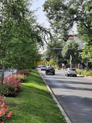 Locuinta ta luminoasa, cu pomi la geamuri, langa Parcul Bazilescu, loc parcare - imagine 20