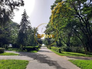 Locuinta ta luminoasa, cu pomi la geamuri, langa Parcul Bazilescu, loc parcare - imagine 16