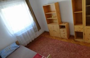 Dambu - Inchiriere apartament 3 camere - Strada Godeanu - imagine 3