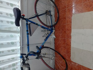 Cursiera Castelli piese simano 600