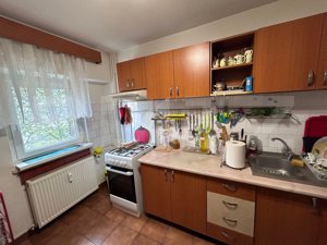 Apartament cu 3 camere, PETFRIENDLY, zona Brazda lui Novac - imagine 8