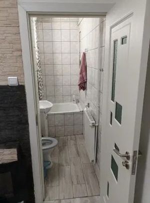 Dambu Pietros - Vanzare apartament 2 camere - B-dul. 1848 - imagine 8