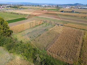 Teren  intravilan Brasov - Strada Plugarilor - imagine 4