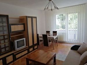 Tudor - Inchiriere apartament 2 camere - Strada Banat - imagine 2