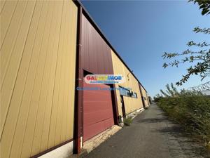 Depozit   Hala 1000 mp - 1.500 mp, Otopeni, Rampa, Birouri, Parcare - imagine 9