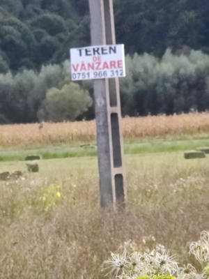 Vând teren extravilan în Năsăud