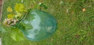 De vânzare damigeana de 50l si 25l