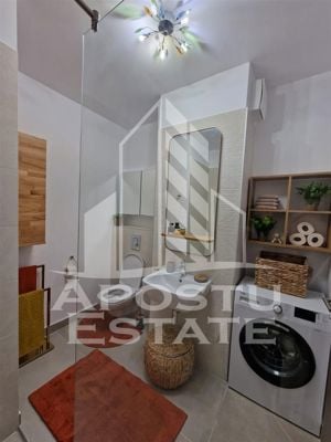 Apartament de lux cu 2 camere open space zona Take Ionescu (ISHO) - imagine 19