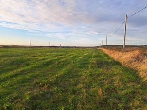 Vand 2 parcele de 550 mp Paleu - imagine 3