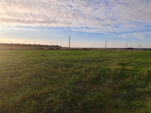 Vand 2 parcele de 550 mp Paleu - imagine 2