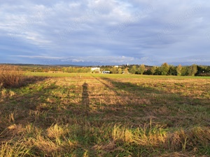 Vand 2 parcele de 550 mp Paleu - imagine 5