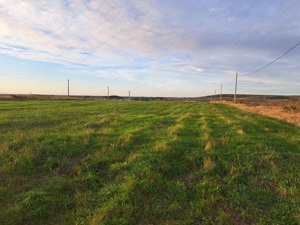 Vand 2 parcele de 550 mp Paleu - imagine 10