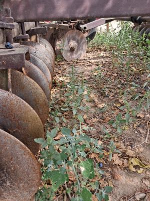 vănd disc agricol gd 3,4  - imagine 5