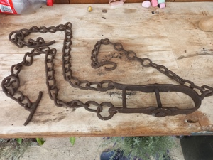 Oiste pentru 2 cai - imagine 2