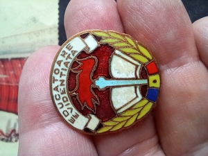 insignă RSR "Educatoare evidentiata" (Aradeanca)