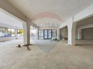 Spatiu comercial 385 mp, zona Tudor Vladimirescu - imagine 16