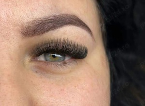 Aplic  Extensii Gene zona Ostroveni 