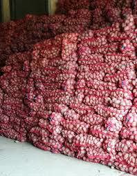 Cartofi de sămânță Cristian