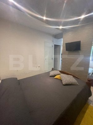 Apartament 2 camere, 50 mp, parcare, zona Parcul Babes - imagine 13