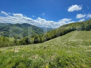 Teren de Vânzare în Satul Plopi, Comuna Valea Ierii