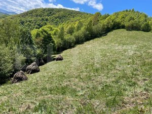 Teren de Vânzare în Satul Plopi, Comuna Valea Ierii - imagine 8