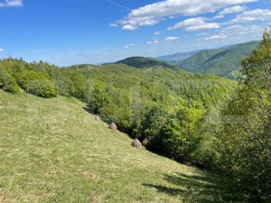 Teren de Vânzare în Satul Plopi, Comuna Valea Ierii - imagine 3